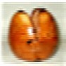 Hollowing tools  |  Hello, Gerald, I'll leave the more eloquent salutations to others, but to...