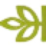 What's your opinion and advice re turning Brazilian Pepper?  |  I imagine that every known timber has been turned by somebody, somewhere. Some...