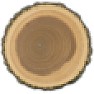Mystery wood  |  I got three sections of a tree from my BIL who got it from someone  else.  The...