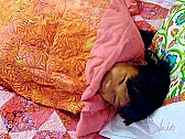 Making a weighted blanket |  Water?  Would a partly water-filled airbed do it?e  m  a  i  l    :    j  a  c ...