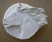 Horse Head the Second!  |  Thanks Karleen :-) I enjoy "primitive" art myself as well as children's...