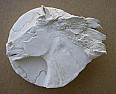 Horse Head the Second!  |  Thanks Karleen :-) I enjoy "primitive" art myself as well as children's...
