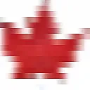 unsure  |  I can find only one recent question from you on "rec.woodworking".  It was...