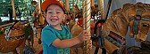 Muskoka Wood Show August 19 to 21 Bracebridge Ont.  |  Muskoka Wood Show August 19 to 21 Bracebridge Ont....