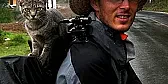 a cat story video - ot | ...