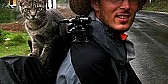 a cat story video - ot | next thread &raquo;