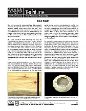 Question about Pine  |  I picked up some pine and wondered - does pine spalt? Some time back I had some...