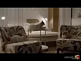 Completely OT: one for the cat lovers |  100 cats loose in IKEA:the...