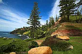 Preserving Norfolk Island Pine  (don't trust, verify)  |  With apologies to Leif and his disciples, not to mention all & sundryagnostics...