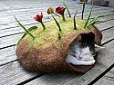 Pet Sleeping Pockets |  Have you seen any of these in various catalogues?Well, they cost about $20...