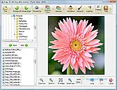 Photo Editors  | next thread &raquo;