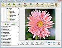 Photo Editors  | &laquo; previous thread