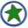 Charity Crop Event in Waltham, Massachusetts  |  Hello Everyone, I work for a non-profit organization called Camp Starfish.  We...