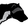 A sheepish admission about Wolverines (no, not furry nor maize & blue)  |  Just found this:[Documented Wolverine Sighting in MichiganOn February 24, 2004,...
