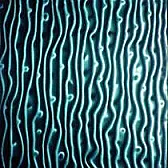 Magic Glass Mosaic , Magic Glass Tile , Laminated Magic Glass Tile  |  We supply high quality magic glass mosaic  , this new magic glassmosaic has...
