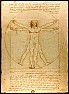 Vitruvian Man - parts 1-6 |   Wikimedia Commons - Da Vinci Vitruve (photo L. Viatour) 2,258 x 3,070 pixels,...