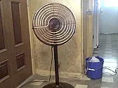 Humidity on steroids  | &laquo; previous thread