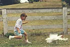 Kyla / Starlia  |  On Fri, 5 Dec 2003 23:01:51 -0500, Kalera Stratton wrote (in message ): It did...