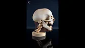 Split bust carved from two timbers, two months of work |  The seed of this project was the raw emotion of a battle cry, and the maker...