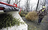quiz which end goes into the chipper first  |  very horrific accident...