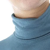 T-shirt neck styles |  I am looking for T-shirts and/or sweaters that have a "raised" neck.That is the...