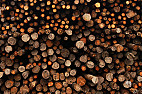 Sierra Leone..Forests stripped bare  | &laquo; previous thread
