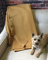 Polartec© throws on sale  | &laquo; previous thread