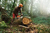 Electric chainsaw recommendation  |  I don't know that I'd buy another electric, as I usually find myself...
