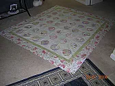 Big Girl Quilt Top Finished (and pix!) |  http://www.flickr.com/photos/28328779@N00/2710811980/in/photostream/I bought a...