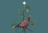 Re: Happy holidays to everyone  |  Wonderful card, Sally -- thanks! I love the Jacquie Lawson cards. :)  Merry...