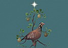 Re: Happy holidays to everyone  |  Wonderful card, Sally -- thanks! I love the Jacquie Lawson cards. :)  Merry...