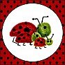 Really cute, cool website  |  I just ordered a vinyl lettering stencil from http://www.LadybugsSpot.com/...