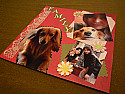 Has anyone ever ordered online from  |  scrapbookthis.com  they have some great paper that I would like to get.  I never...