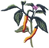 Looking for chili pepper design |  Hello to all:I had a hard drive crash and lost all my saved designs and...