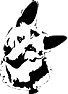 Pet sympathy.....  |  They said he had eaten a ribbon twice his length with caused ulcers from his ...