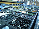 EEeeeeee, check THESE!!!  |  Found on the links list (of course!) http://www.buttonshoppe.com/GlassCzech.htm...