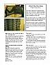 pattern seeking |  Welcome to the group!  :o)    Where are you from... not *exactly*, but what...