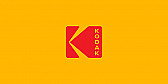 creative mending |  Well, it would not have *had* to have been a frog...maybe a basketball, or...