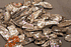 OK... Someone from Ebay has just ticked me off!!!  |  Shew... took me a few minutes, but I found the link for the round beads:...