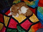 sewing words |  I was there when "Frog" was coined by Amy Detjen in the big Knitlist.At that...