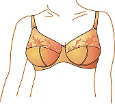 shelf bras | &laquo; previous thread