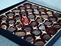 Since chocolate is never off topic | http://www.funtrivia.com/trivia-quiz/Hobbies/Theo-B-Cacao-and-Her-Chocolate-Time-Machine-248599.html