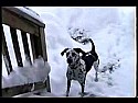   OT   snow dog |  Thank you for a really enjoyable little movie!  I forwarded it to my son for my...